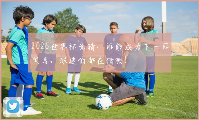 2026世界杯竞猜，谁能成为下一匹黑马，球迷们都在猜测！